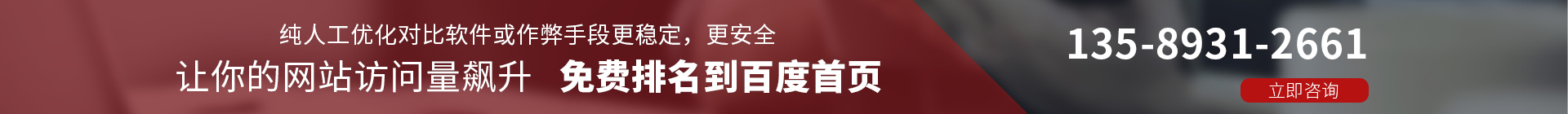SEO关键词排名优化，效果让您看得见